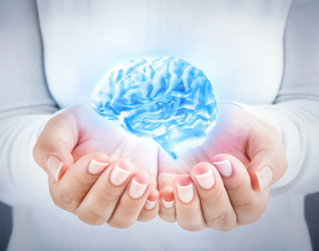 Representación de un cerebro sostenido entre las manos